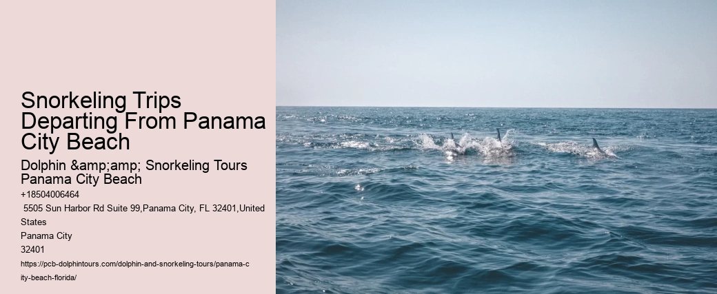 Panama City Beach Snorkeling Tours Hanalei