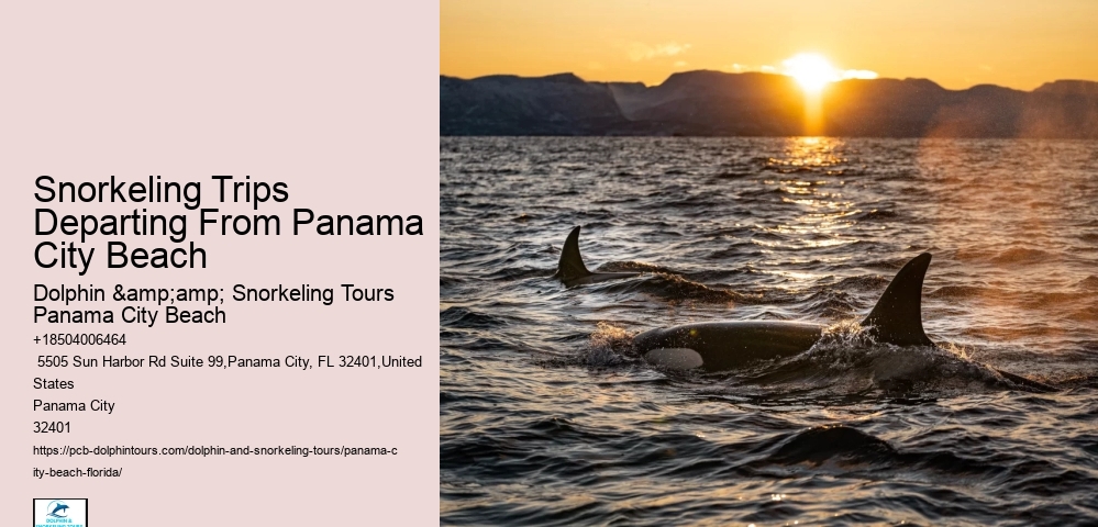 Panama City Beach Snorkeling Tours Volume