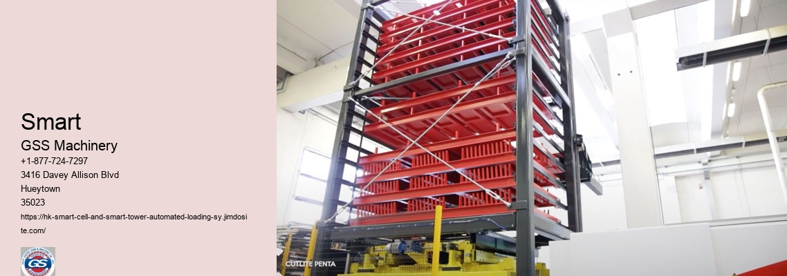 Automated Container Loading Systems