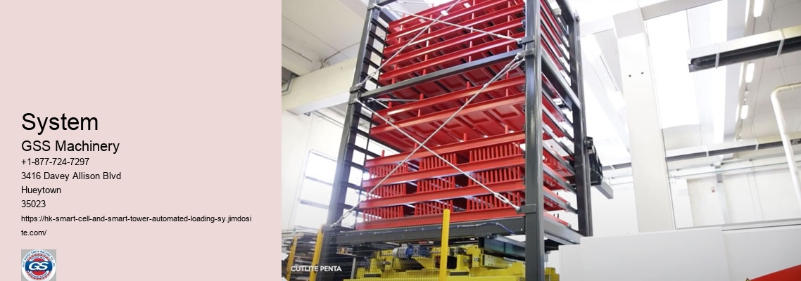 What Is Crane Lmi System