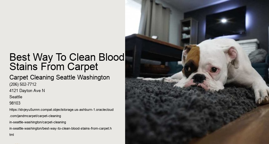 Best Way To Clean Blood Stains From Carpet
