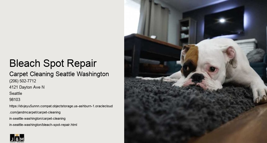 Bleach Spot Repair