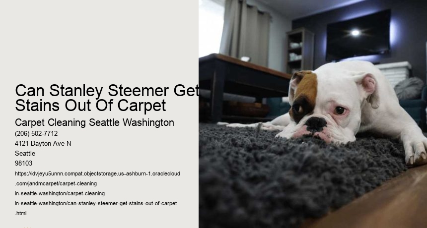 Can Stanley Steemer Get Stains Out Of Carpet