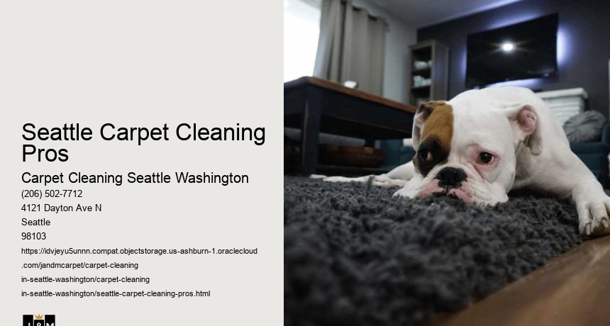 Seattle Carpet Cleaning Pros
