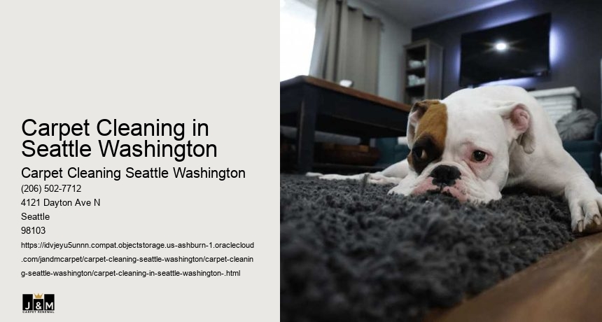 Carpet Cleaning in Seattle Washington 