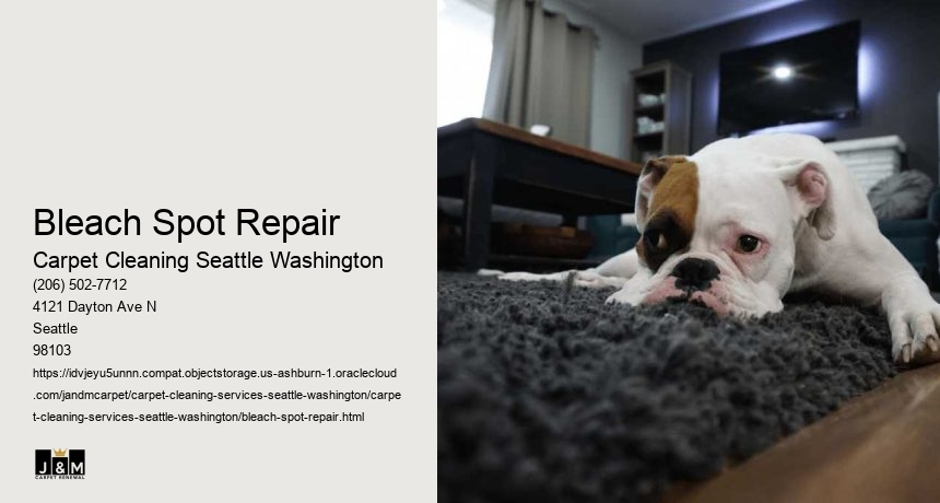 Bleach Spot Repair