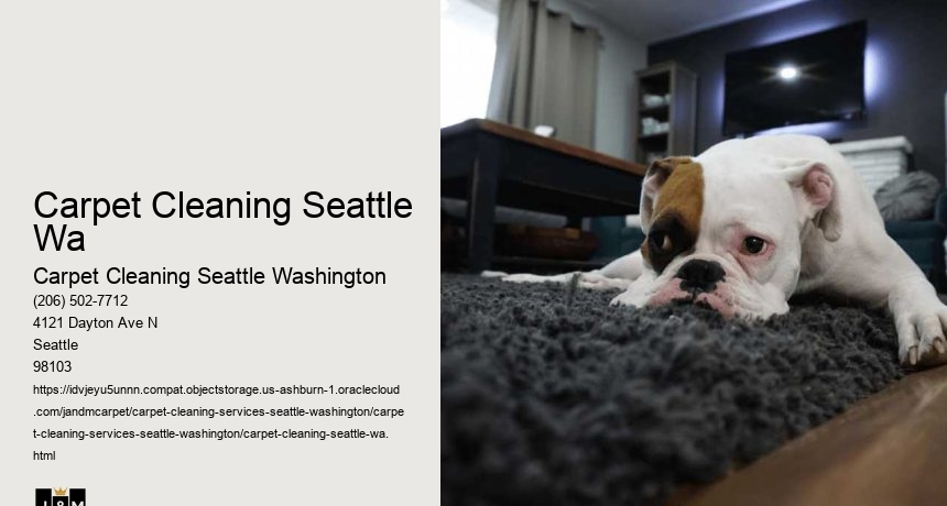 Carpet Cleaning Seattle Wa
