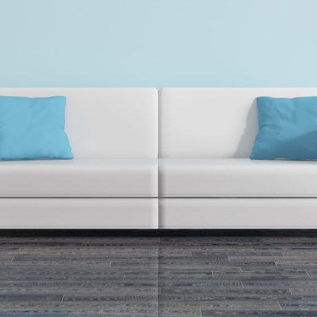 What is the best professional carpet cleaner