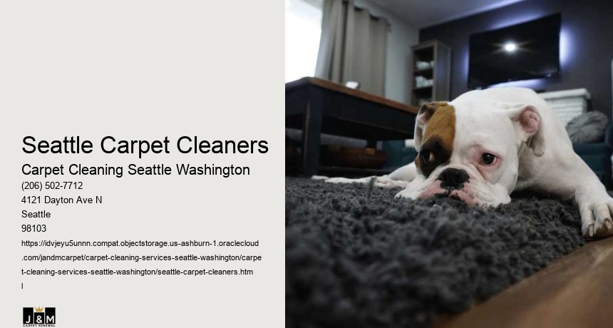 Seattle Carpet Cleaners