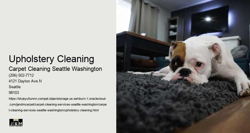 Upholstery Cleaning