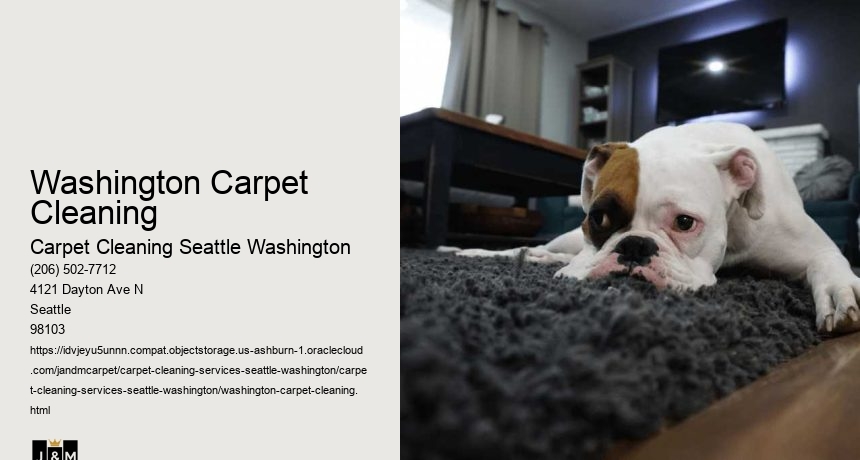 Washington Carpet Cleaning