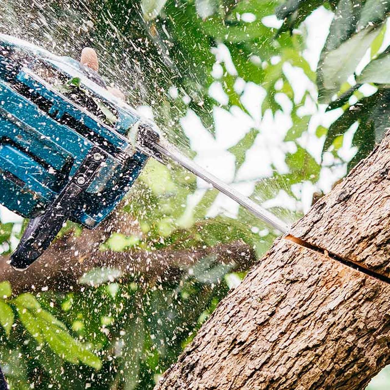 Leeds Tree Service Llc North Carolina