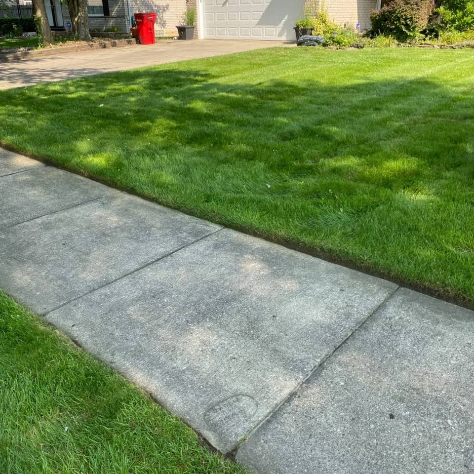 Leeds Tree Service Llc Florida