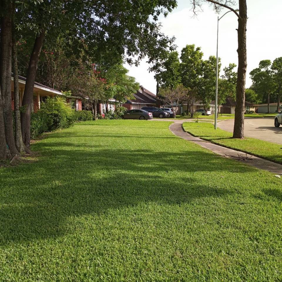 Orellana