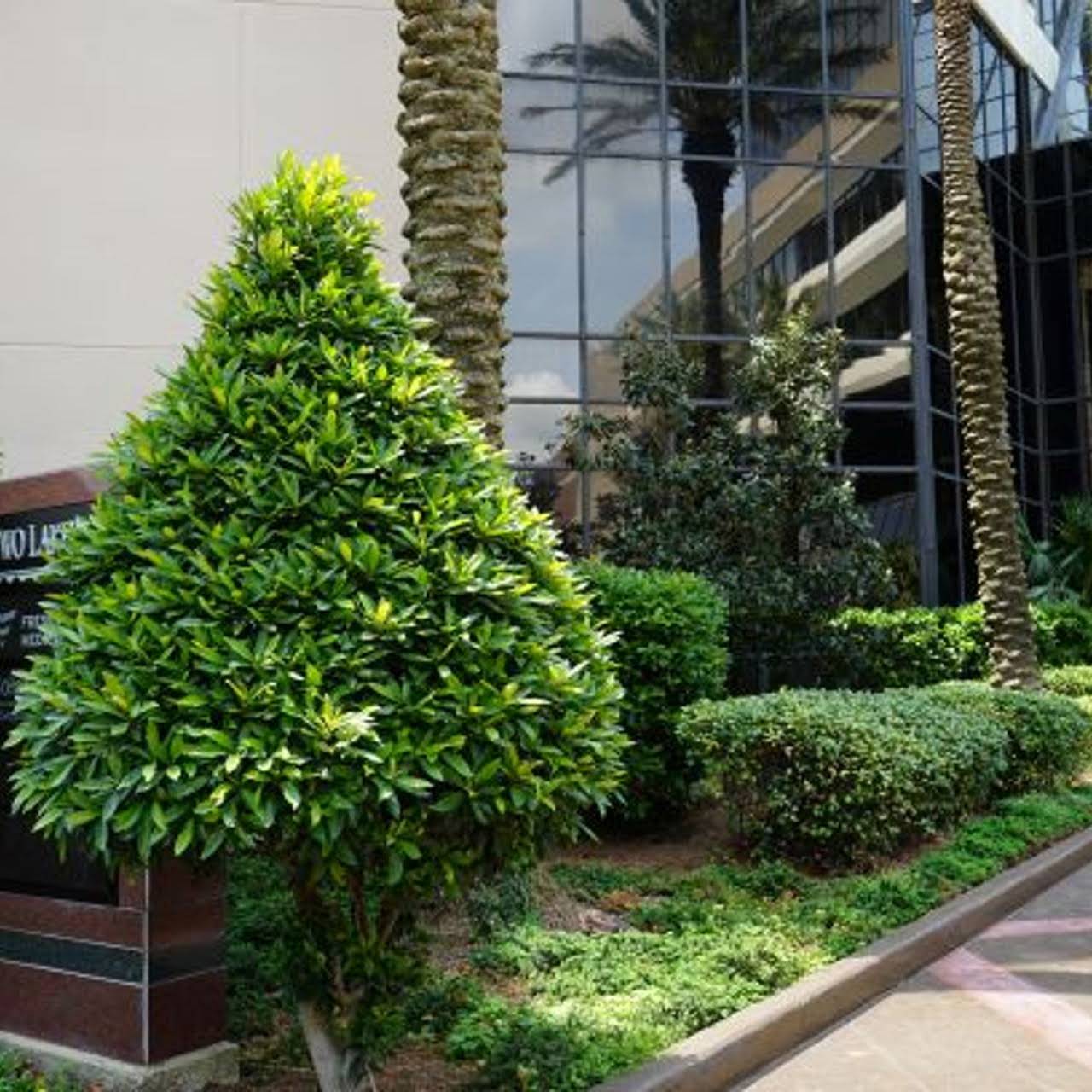 Metairie Landscaper Llc To