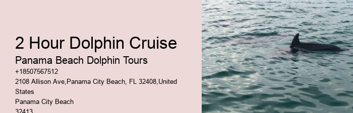 Dolphin Spotting Excursions in PCB