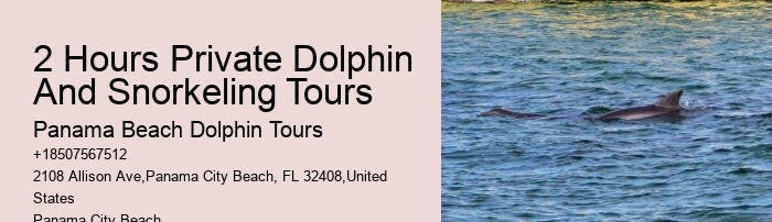 Dolphin Watch 30a