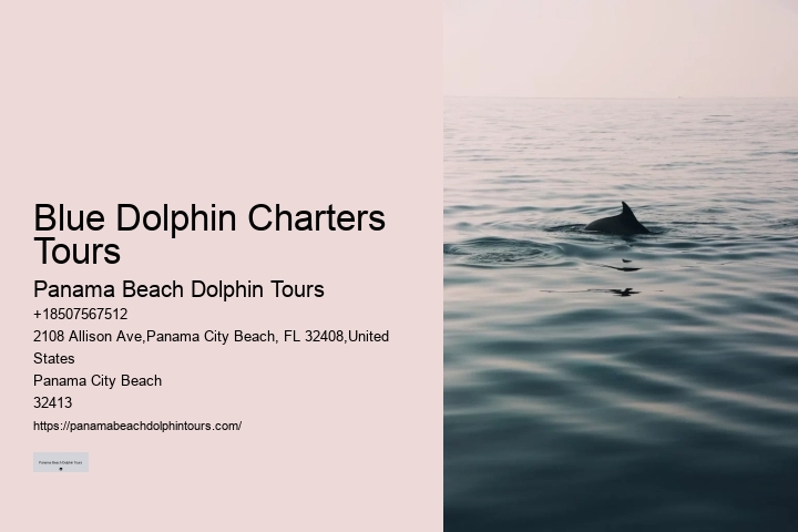 Secluded Dolphin Encounter and Snorkeling Trips
