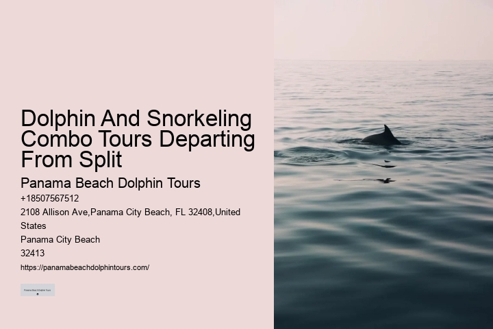 Split Charter Dolphin Snorkeling Tours