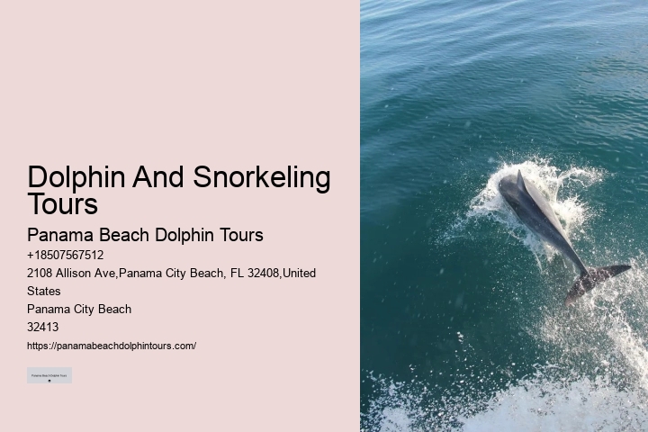 PCB Dolphin Discovery Cruises