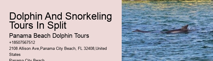 Split Charter Dolphin Tours