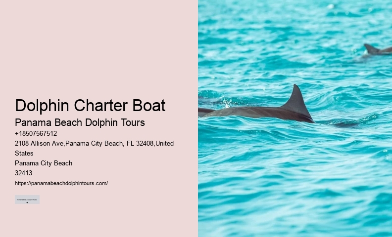 Frequently Asked Questions About Shell Island In Panama City Beach