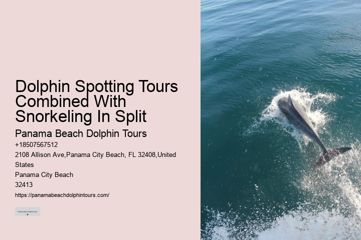 Split All-inclusive Dolphin And Snorkeling Vacations