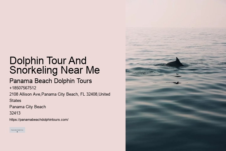 Panama City Beach Dolphin Adventure Trips