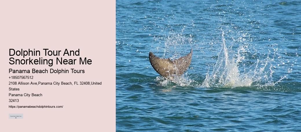 Can I request a specific guide for my dolphin tour