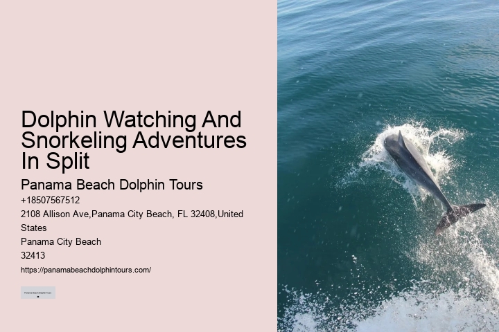Split Sunset Dolphin Cruises With Snorkeling