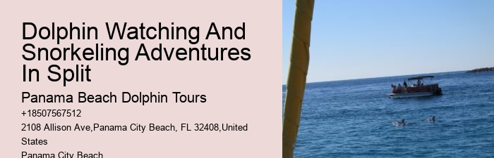 Split Marine Tours With Dolphin Encounters