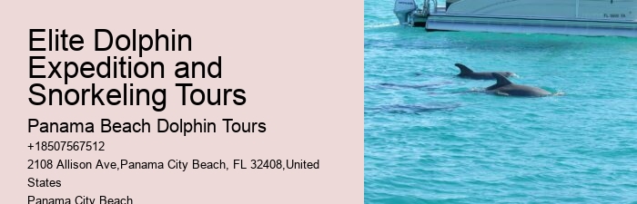 Can You Swim With Dolphins In Panama