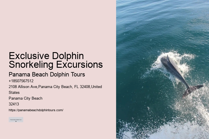 Dolphin Cruise Panama