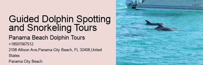 Split Private Yacht Rentals For Dolphin And Snorkeling Excursions