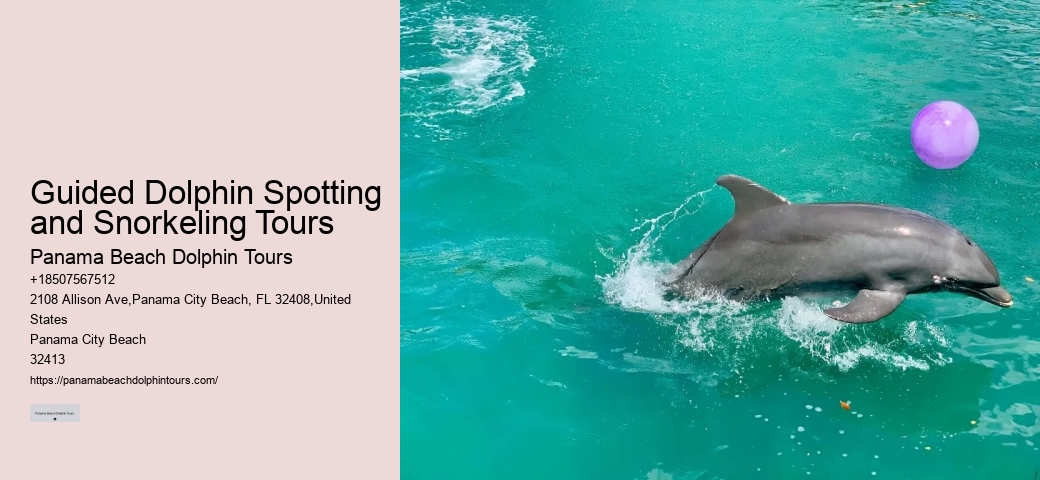 Panama City Beach Dolphin Tours & More