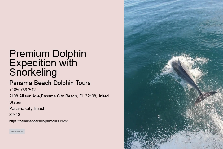 Best Sunset Dolphin Cruise Panama City Beach