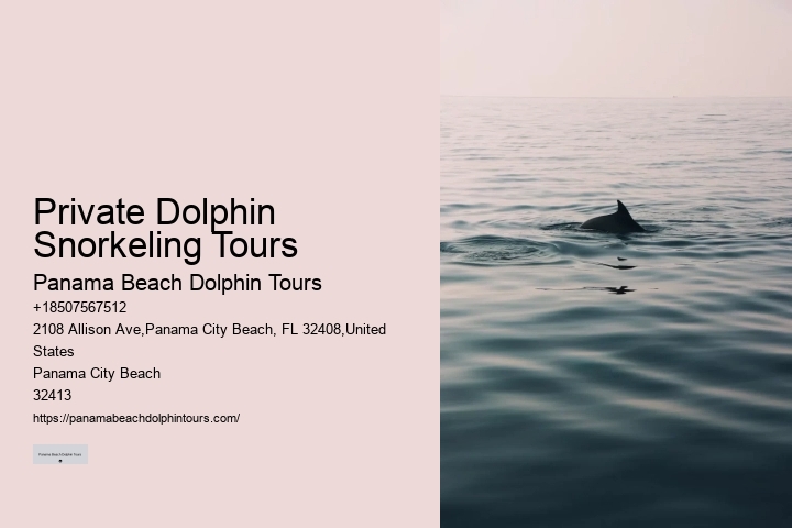 Dolphin Tours Rehoboth Beach