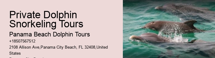 Dolphin And Snorkeling Tour