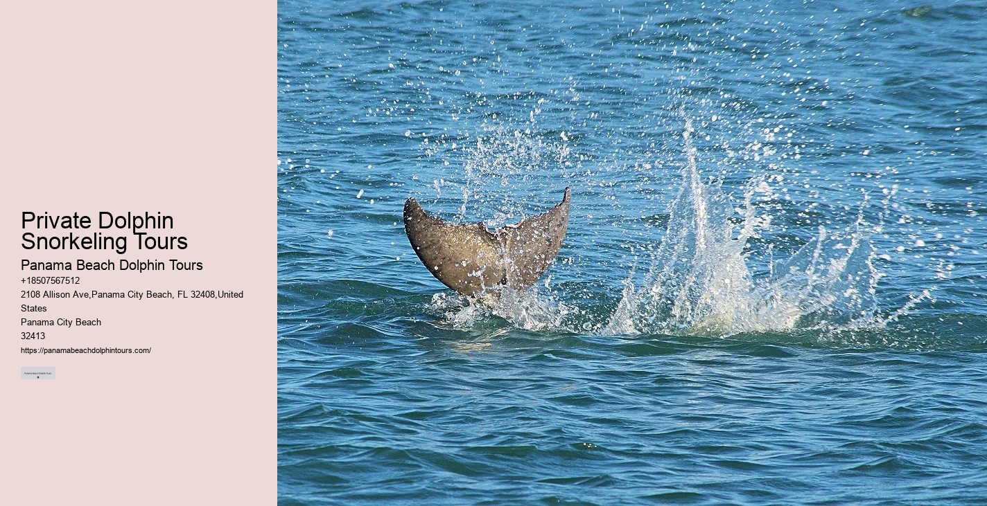 Panama City Dolphin Seafari Tours