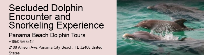 VIP Dolphin Swim and Snorkeling Tours