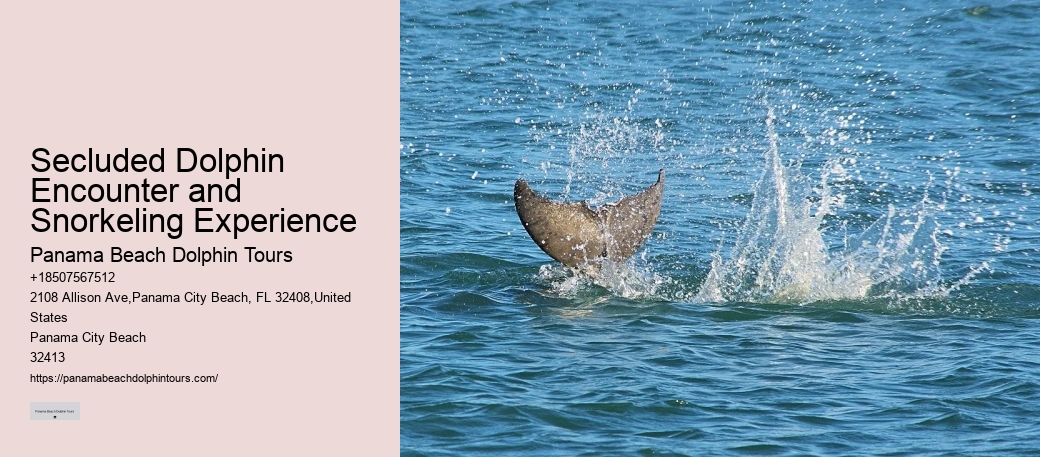 Are Panama City Beach dolphin tours environmentally friendly