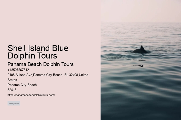 Guided Dolphin Spotting and Snorkeling Tours