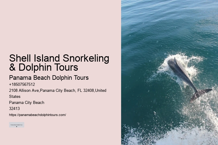 Panama City Beach Dolphin Discovery Adventures