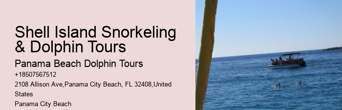 Are Panama City Beach dolphin tours educational