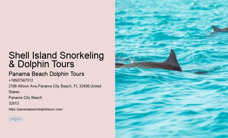 Dolphin Safari Tours PCB