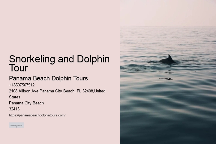 Can I Hug A Dolphin