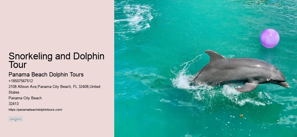 Are there any discounts available for group bookings on dolphin tours in Panama City Beach