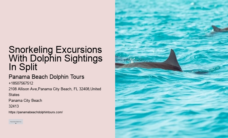 Are Panama City Beach dolphin tours suitable for non-swimmers