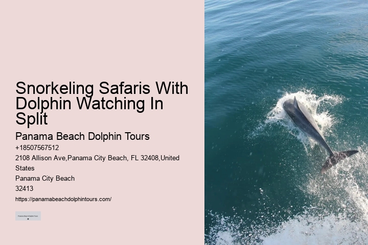 Where Is The Best Place For Dolphin Watching