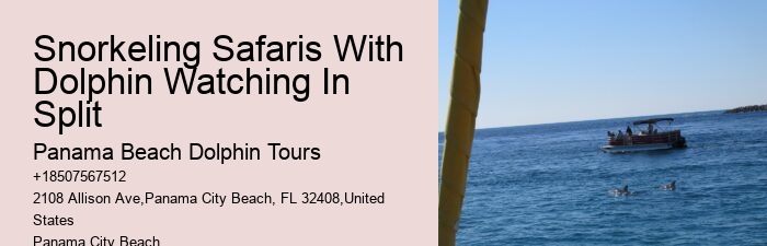 Split Customized Dolphin And Snorkeling Itineraries